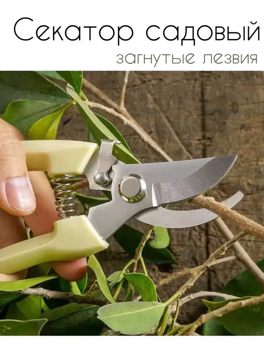 قیچی شمشادزن دستی با لبه‌های تیز برای باغبانی خانگی و نگهداری از گیاهان کوچک