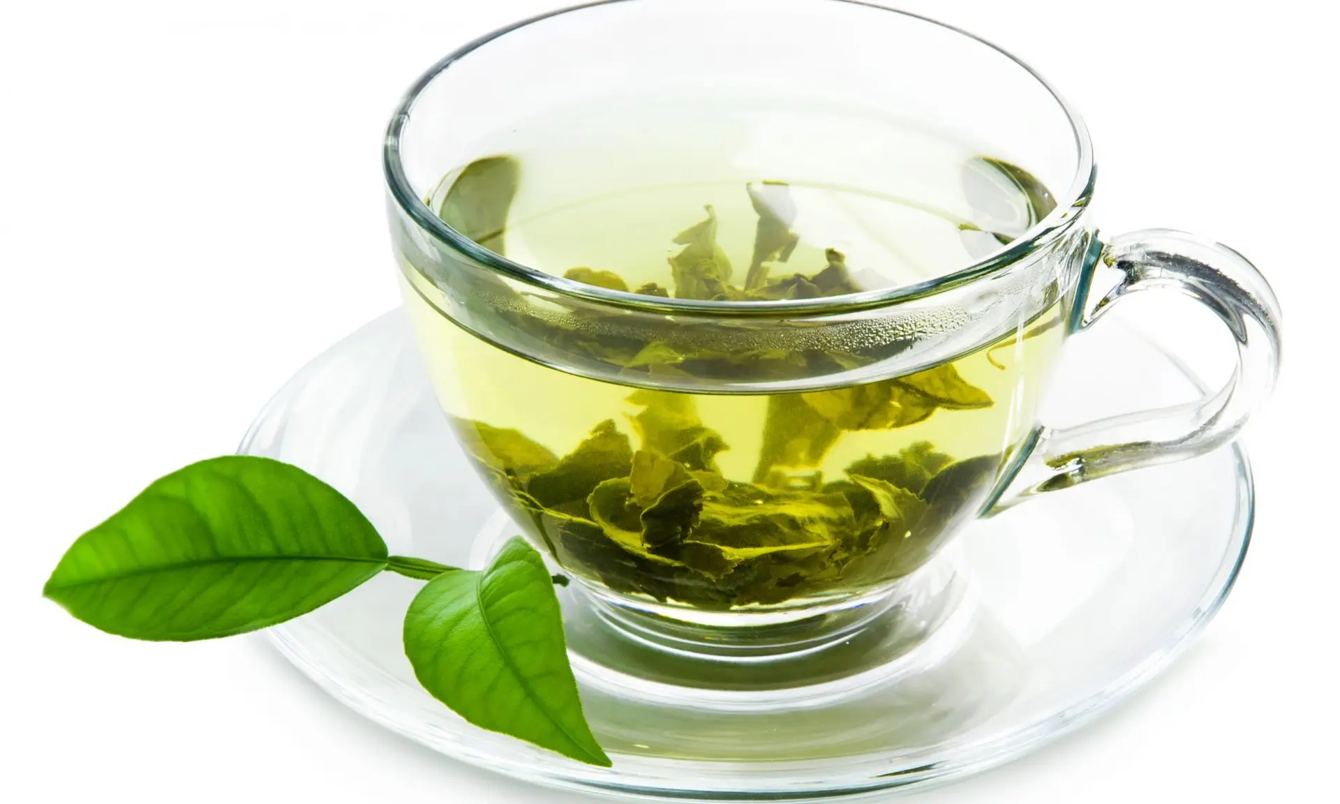 چای سبز برگ کامل و شکسته در مقایسه