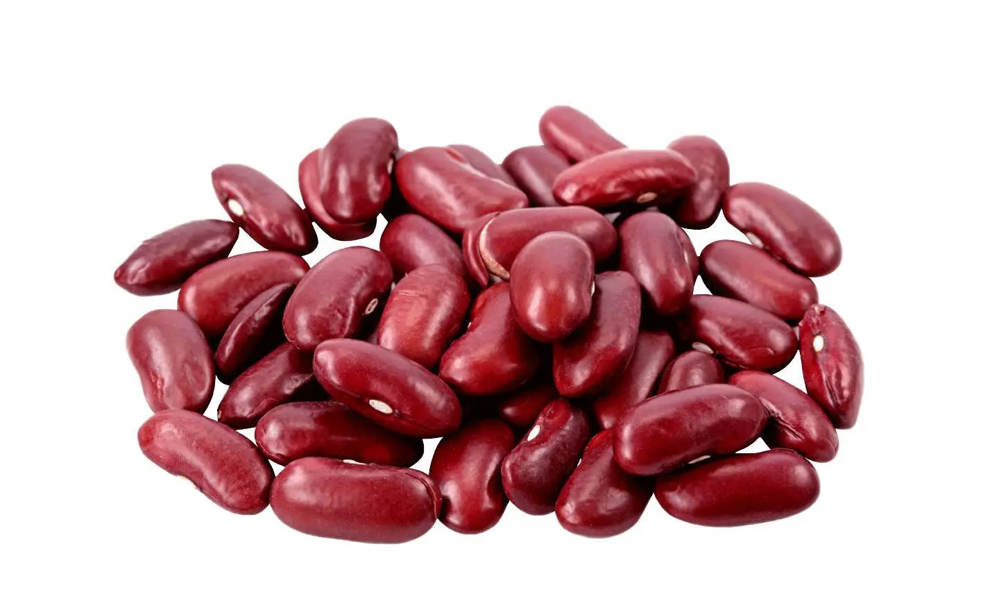کدام حبوبات برای آبگوشت انتخاب بهتری است؟ بررسی کامل و ساده