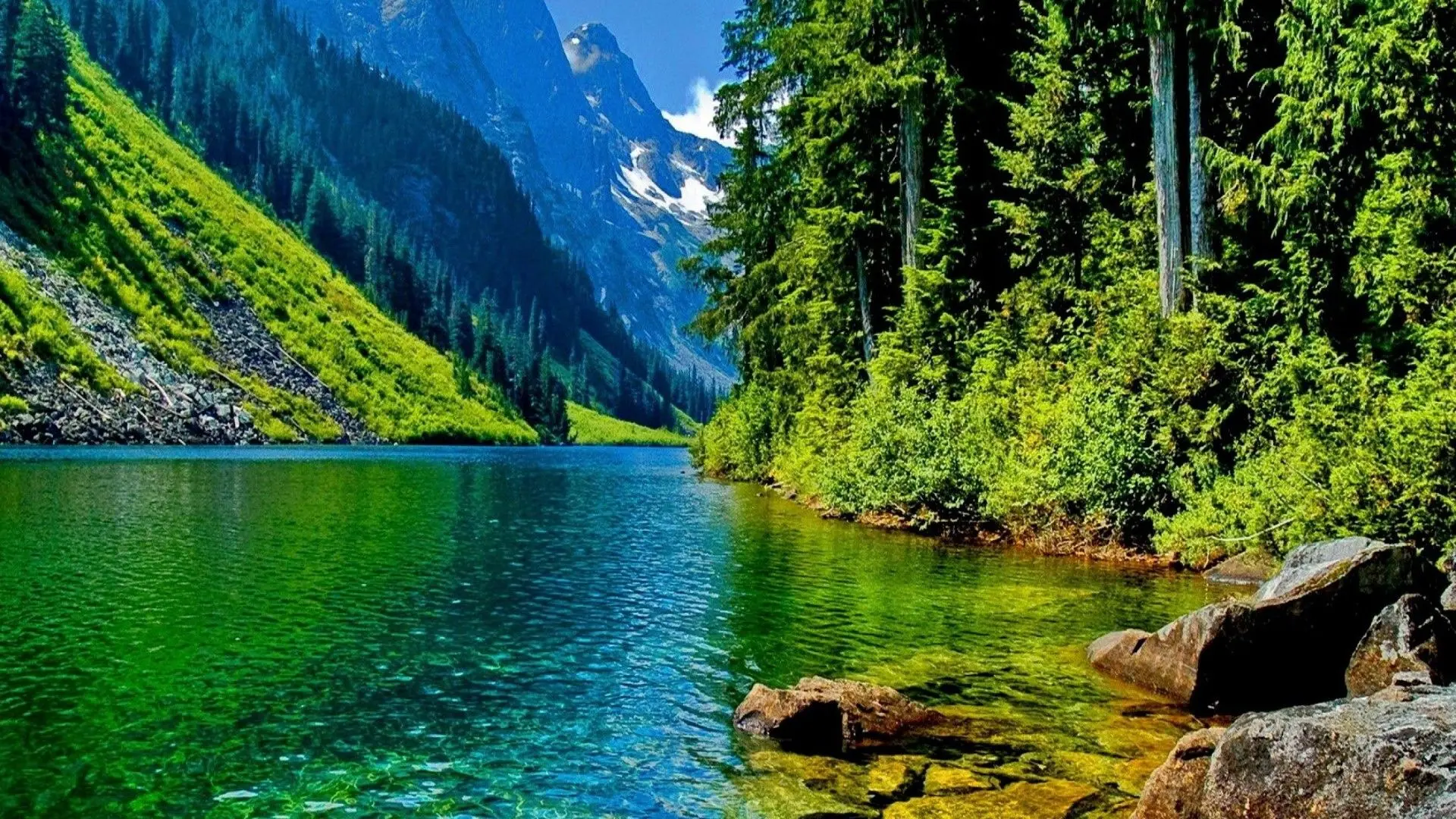 نمونه‌ای از وردنه‌های مختلف با کیفیت بالا برای استفاده در ساخت‌وساز