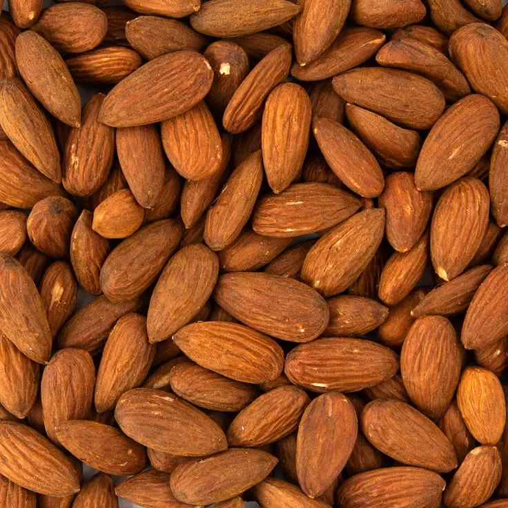 بستهبندیهای مختلف بادام شیرین و تلخ در فروشگاه