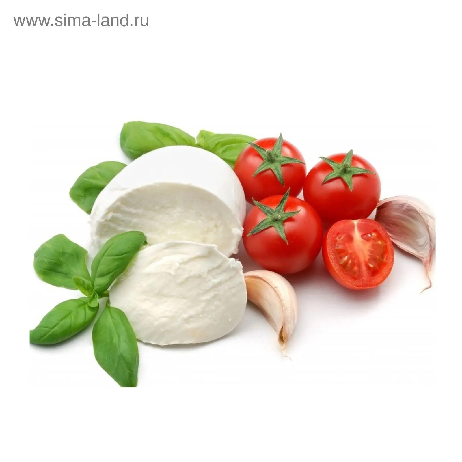 بهترین پنیر موزارلا؛ گزینه‌های مناسب را چطور انتخاب کنیم؟