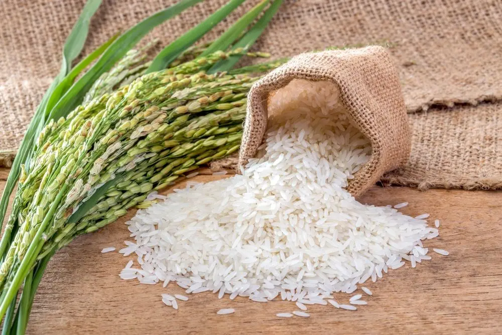 چک کردن خودرو قبل از سفر به دز