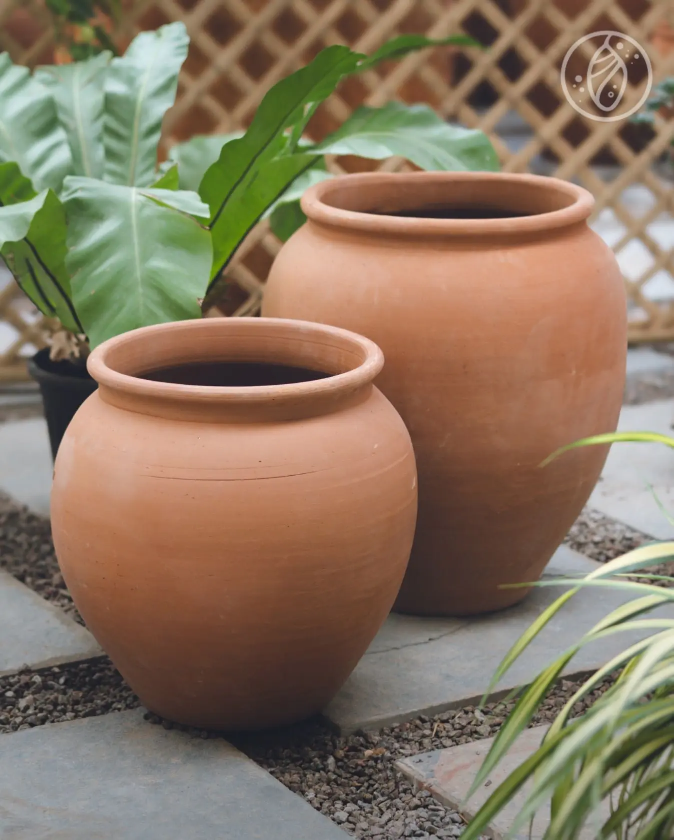 خرید گلدان؛ راهنمای انتخاب گلدان برای خانه و محل کار و راهنمای تصمیم‌گیری