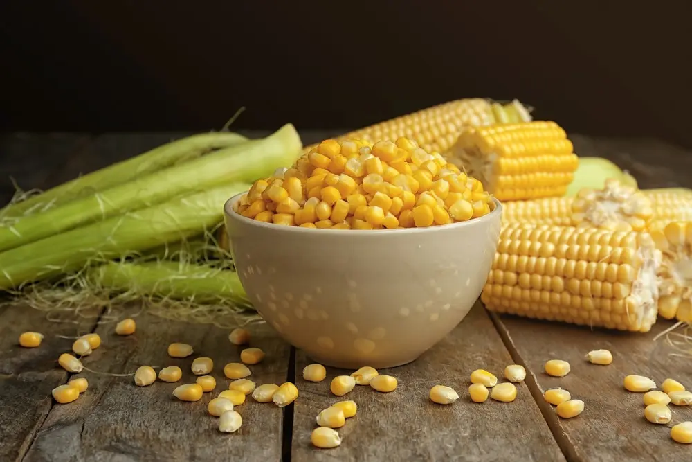 ذرت کنسرو شده در ظرف شیشه‌ای با پوشش مناسب برای نگهداری در یخچال