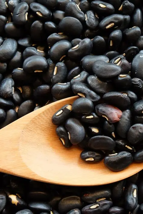 لوبیا پخته شده در یک ظرف سفالی با سبزیجات تازه