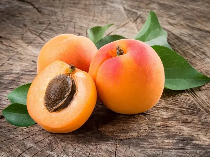 آلو بخارا تازه و خوش رنگ در یک سبد چوبی