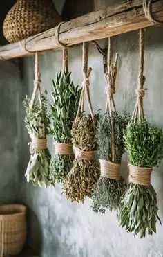 برش و آماده‌سازی سبزی‌های قورمه خشک