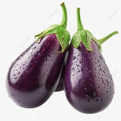 بادمجان پخته شده در غذاهای سنتی ایرانی
