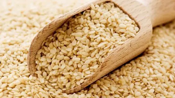 کنجد سفید در غذاهای سنتی و دسرهای ایرانی