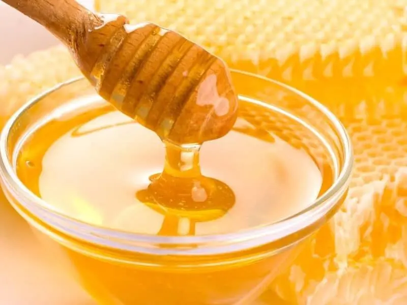 کندوی زنبور عسل در طبیعت