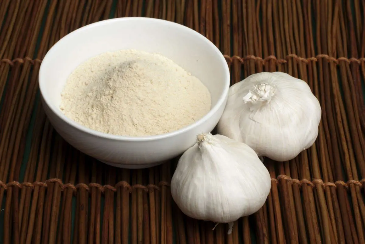 پودر سیر در کنار سیر تازه و ادویه‌های دیگر در یک ظرف چوبی