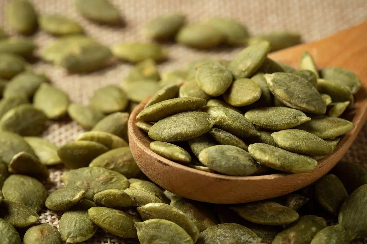مغز تخمه کدو در انواع مختلف رنگی و اندازه
