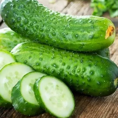گلخانه مدرن با سیستم کنترل دما و رطوبت برای کشت خیار