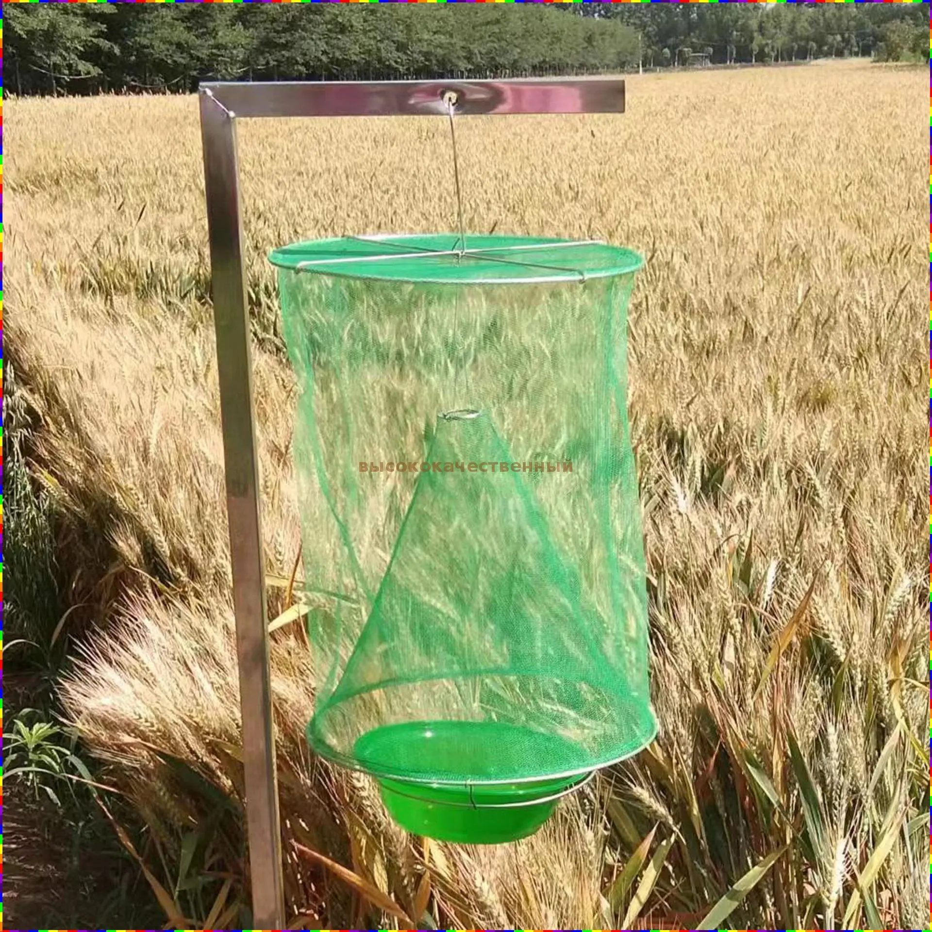 چسب حشره‌گیر با سطح چسبنده گسترده برای کنترل مورچه‌ها در مناطق وسیع