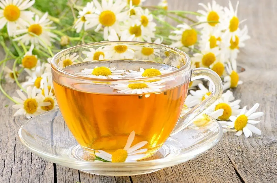 مقایسه گزینه‌های دمنوش گل گاوزبان؛ چطور بهترین انتخاب را داشته باشیم؟