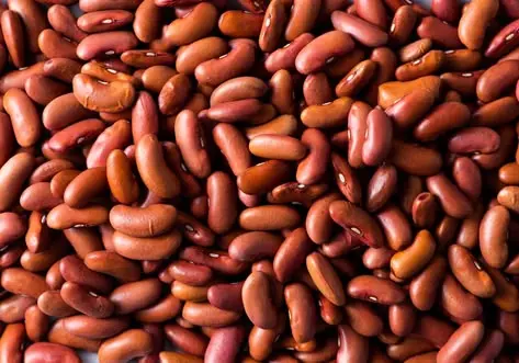 عدس زودپز در ظرف شیشه‌ای