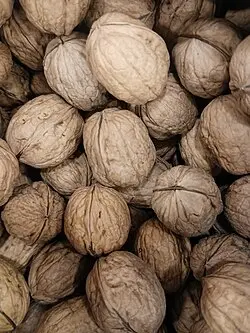 انتخاب آجیل چهار مغز؛ مزایا، نکات و اشتباهات رایج