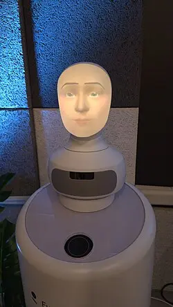 سر یک ربات اجتماعی با طراحی شبیه به صورت انسان که برای تشخیص احساسات و برقراری ارتباط طراحی شده است
