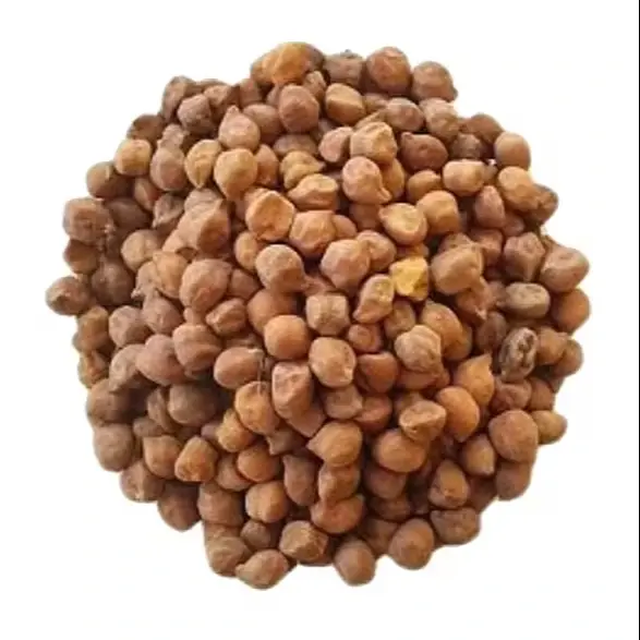 نخود سیاه خشک و خیس شده برای پخت