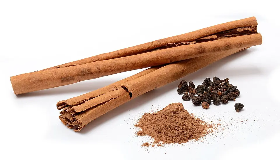 مقایسه گزینه‌های دارچین؛ چطور بهترین انتخاب را داشته باشیم؟