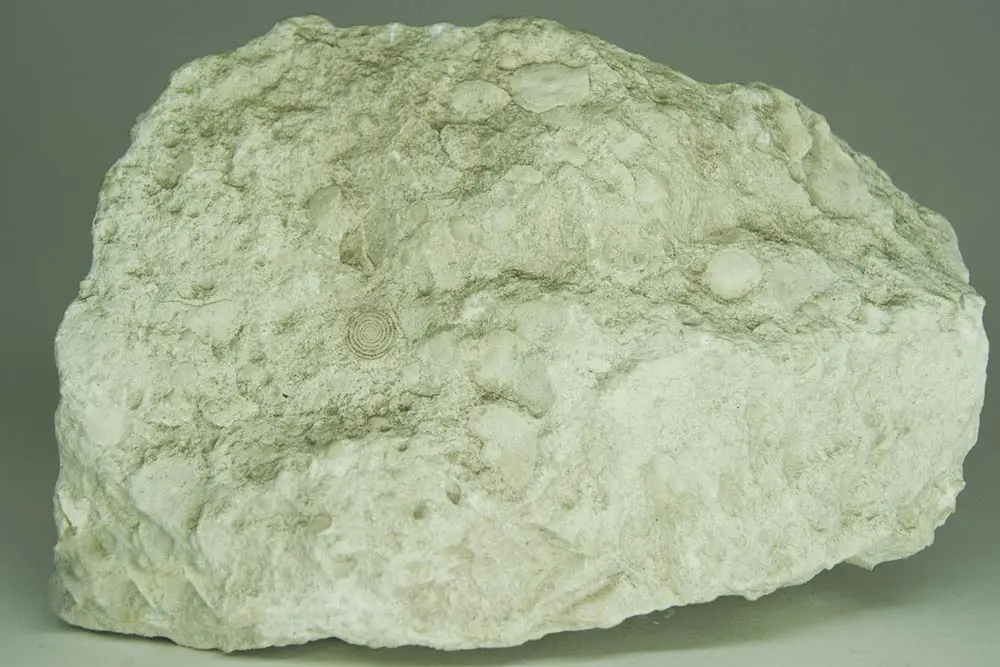 نمونه نمای ساختمان با سنگ لایماستون در رنگهای مختلف و طراحی مدرن