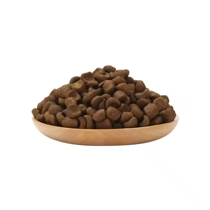 گربه جوان در حال خوردن غذا