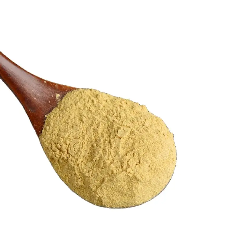 پودر زنجبیل خشک شده با کیفیت بالا برای استفاده در آشپزی و پخت‌وپز