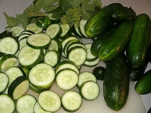 کدام خیار گلخانه‌ای انتخاب بهتری است؟ بررسی کامل و ساده
