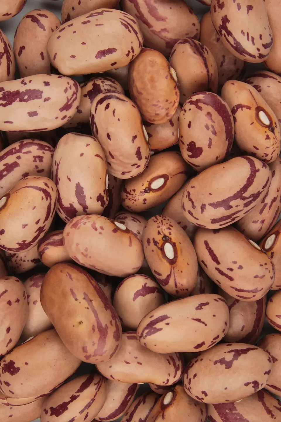 لوبیاهای تازه و خشک در یک ظرف چوبی