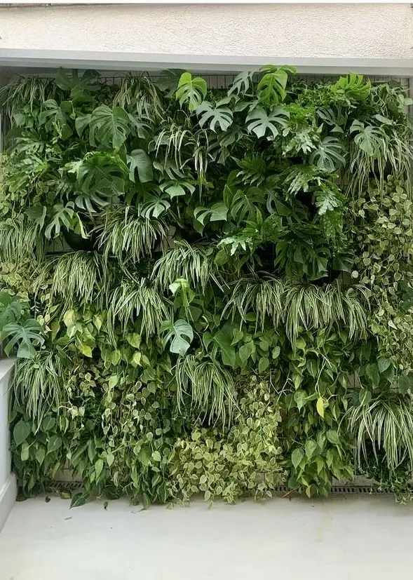 سیستم آبیاری خودکار برای دیوار سبز داخلی با گیاهان مختلف