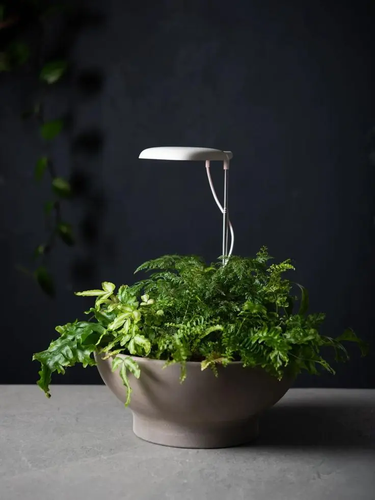 چراغ رشد گیاه LED با طیف نور مناسب برای گیاهان