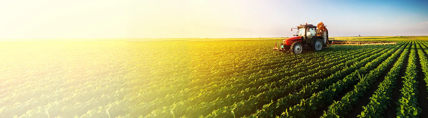 یک مزرعه مدرن با استفاده از فناوری‌های AgriTech