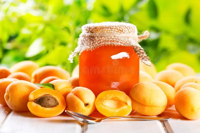 مواد اولیه طبیعی برای تهیه برگه زردآلو در خانه