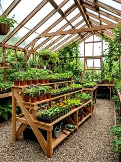 گلخانه پلاستیکی سبک و قابل حمل برای فضای کوچک
