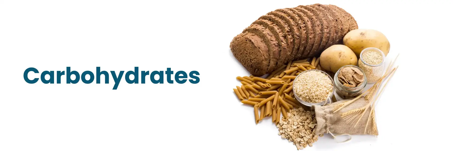 کربوهیدرات چیست و چه نقشی در بدن دارد؛ پاسخ به پرسش‌های مهم