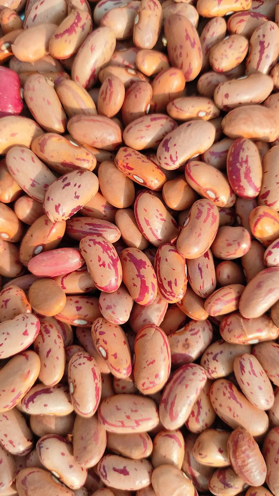 انواع حبوبات خشک در یک سبد چوبی