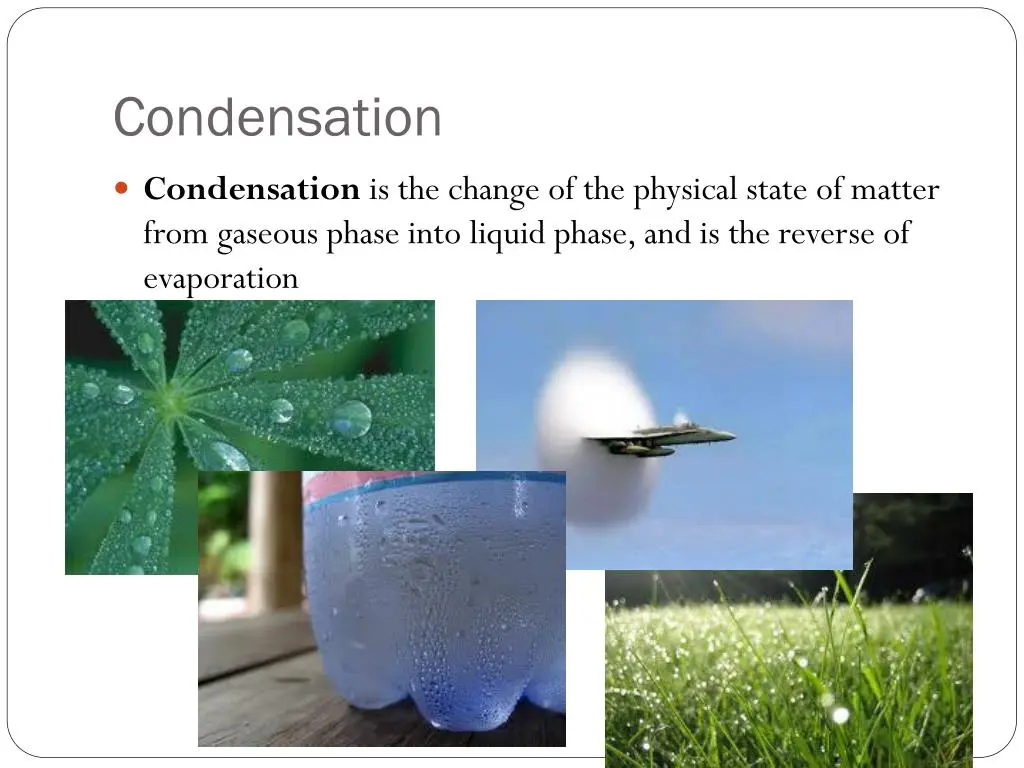 چرا دیوار ساختمان نم می‌دهد؟ پیدا کردن علت رطوبت قبل از تعمیر؛ راهنمای ساده برای شروع