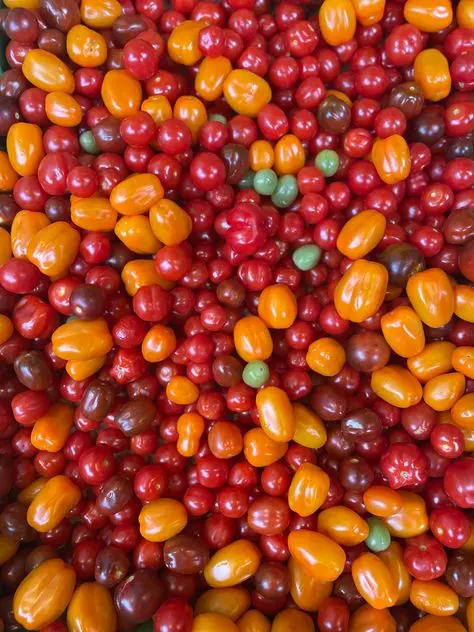 گوجه گیلاسی در یک ظرف شیشه‌ای با نمک و ادویه