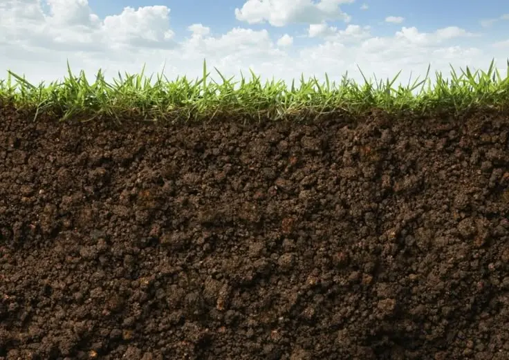نمونه‌ای از خاک مناسب برای خاکریزی ساختمان با دانه‌بندی مناسب و پایداری مکانیکی