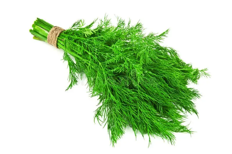 بوشه‌ای از ریحان تازه سفید رنگ