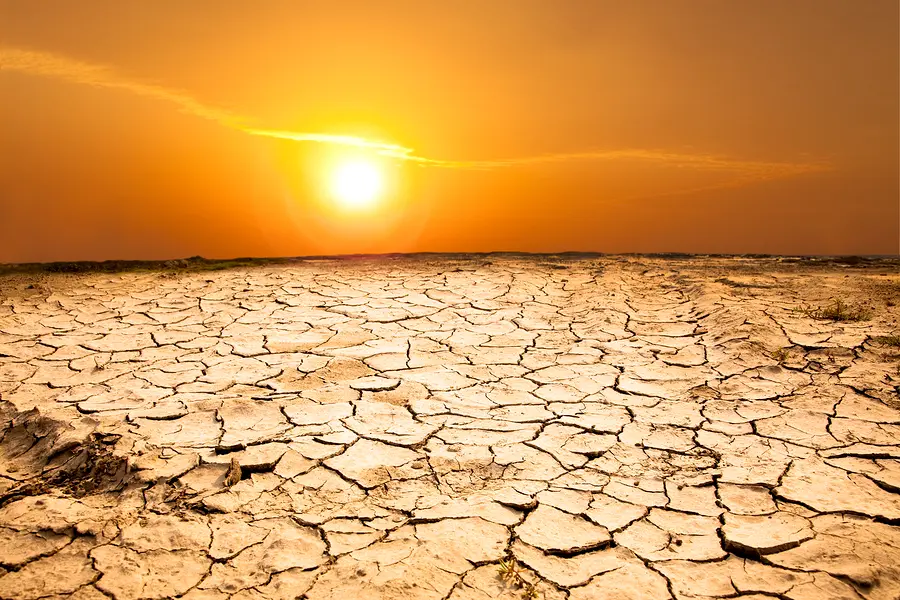 منطقه‌ای با خاک خشک و گیاهان پژمرده به دلیل کمبود آب