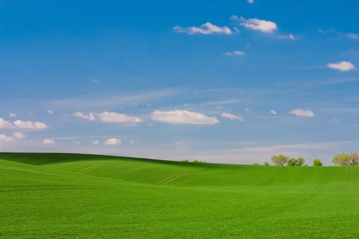 دست آشپز در حال آماده‌سازی مواد غذایی، نماد تمرکز و دقت در رشته آش