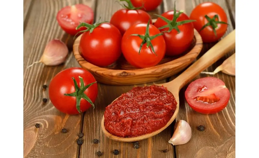 گوجه فرنگی تازه و طبیعی که برای تولید رب باکیفیت استفاده می‌شود