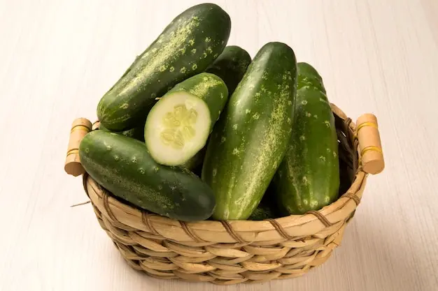 خیار تازه و سبز در دست