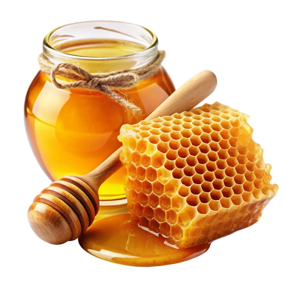 شکل واقعی شنی عسل کوهی و کندو طبیعی