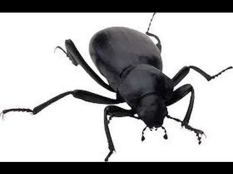 نمونه‌ای از تست خودکار با استفاده از هوش مصنوعی