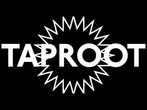 Taproot چیست و چه امکاناتی به بیت‌کوین اضافه کرد؛ نکات مهم و کاربردی