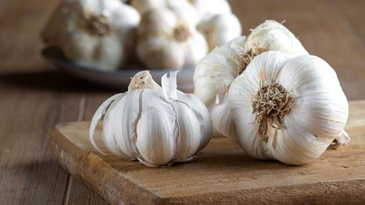 سیر پخته شده در کنار غذاهای ایرانی