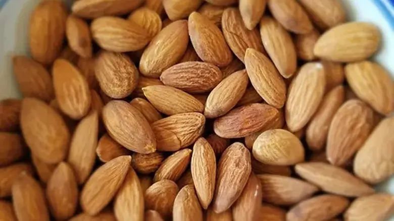 مقایسه گزینه‌های بادام؛ چطور بهترین انتخاب را داشته باشیم؟